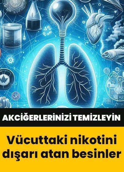 Vücutta dolaşan nikotini dışarı atan besinler