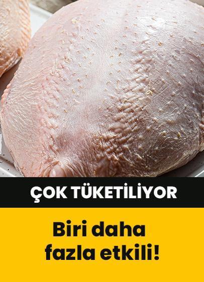 Hindi ve tavuk: Sağlık açısından hangisi daha faydalı?