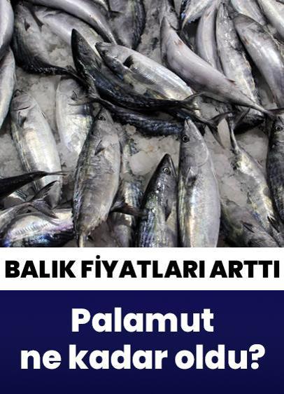 Balık fiyatları arttı