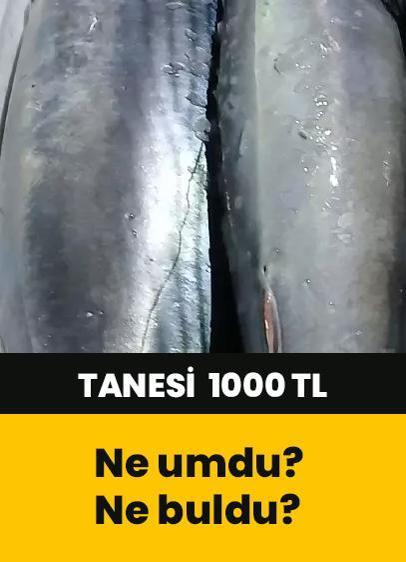 Tezgahlarda 5-6 kilo geliyor! Tanesi 1000 liradan satılıyor