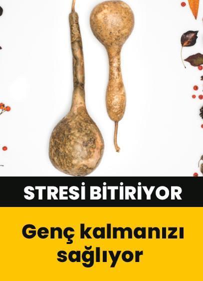 Steresinizi süpürge gibi süpürüyor! Bedensel enerjinin artmasının en etkili yolu