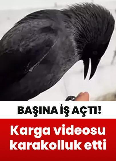 Karga videosu başına öyle bir iş açtı ki...