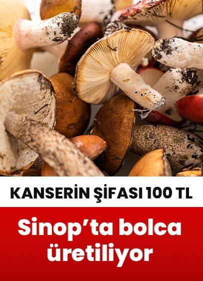 Kanserin şifası 100 TL!