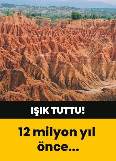 12 milyon yıl önce yaşamış kuşun fosili bulundu!