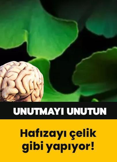 Hafızayı çelik gibi yapıyor! Atom bombasına direnen tek bitki