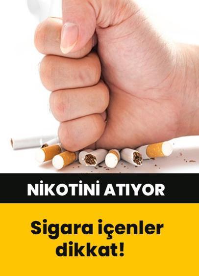 Bu besinler nikotini atıyor! Sigarayı içilmez hale getiriyor