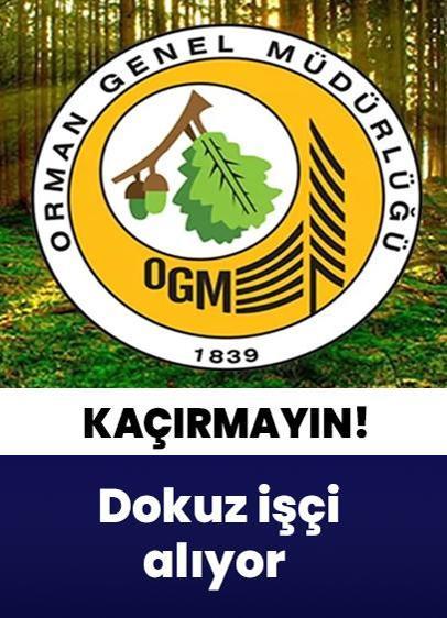 Orman Genel Müdürlüğü 9 geçici işçi alacak