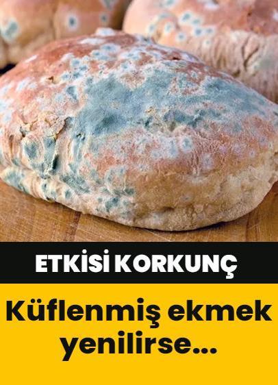 Küflenmiş ekmek yenilir mi, yenilirse ne olur?