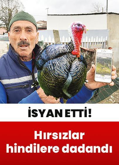 Yılbaşı hindisi hırsızların hedefinde!