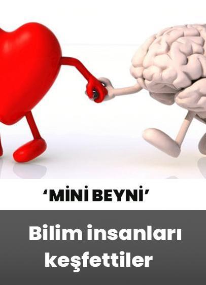 Kalbin ‘mini beyni' varmış!