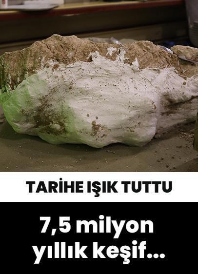 Kayseri'de 7,5 milyon yıllık fosil keşfedildi...