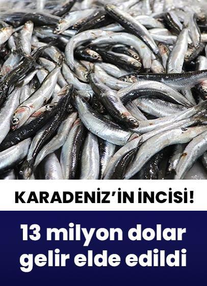 13 milyon dolar gelir elde edildi!