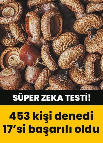 Süper zeka testi! Muşmulaların arasındaki sincap nerede? 453 kişi denedi, 17'si başarılı oldu