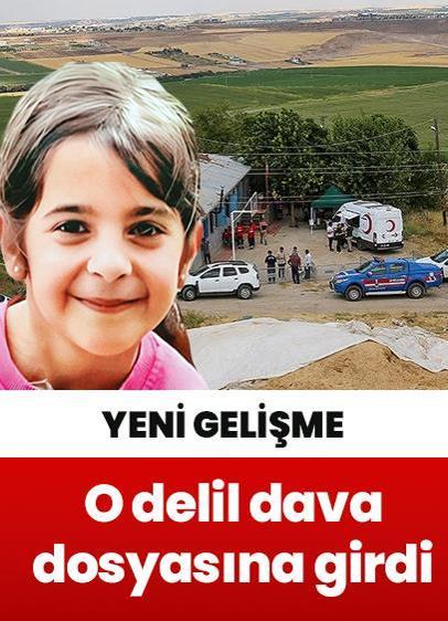 Diyarbakır'da Narin Güran cinayeti davasında yeni gelişme