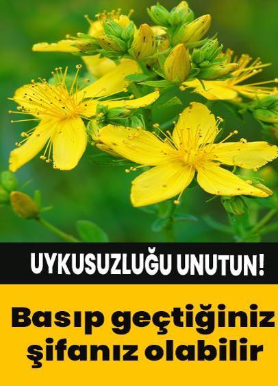 Uykusuzluğu unutun! Üzerine basıp geçtiğiniz şifanız olabilir