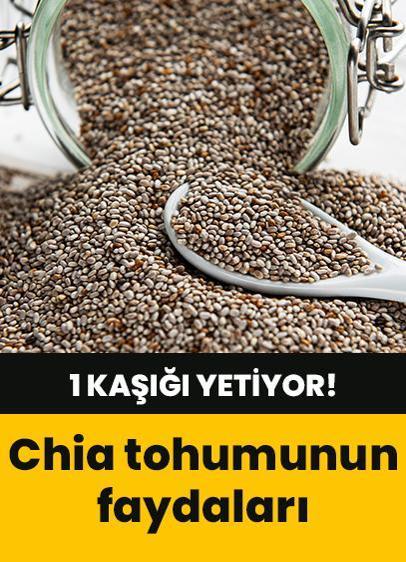 1 kaşığı yetiyor! Chia tohumunun bilinmeyen faydaları