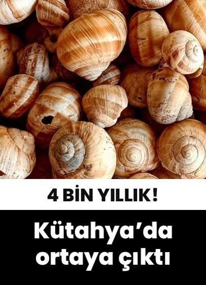 Kütahya'nın Tavşanlı ilçesinde 4 bin yıllık salyangoz kabukları ortaya çıktı!