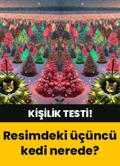 Kişilik testi! Resimdeki 3. kedi nerede? 2025 şansını söyleyen optik illüzyon...