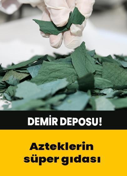 Asrın süper gıdası Spirulina: Azteklerin mirası!