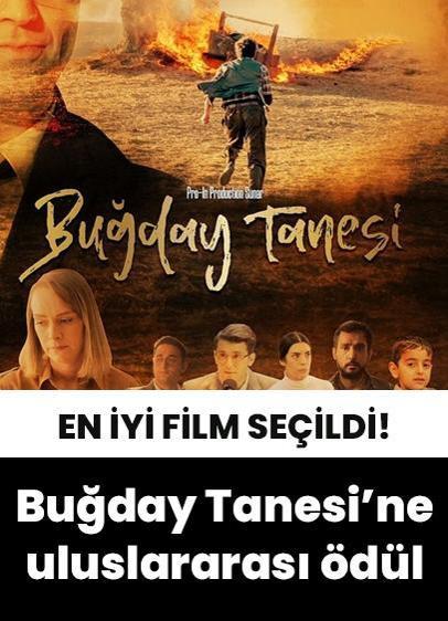 "Buğday Tanesi"ne uluslararası ödül! 'En İyi Film' seçildi