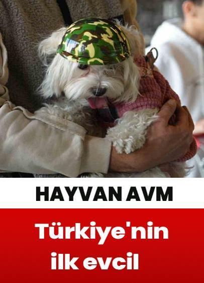 İşte Türkiye'nin ilk  evcil hayvan AVM'si