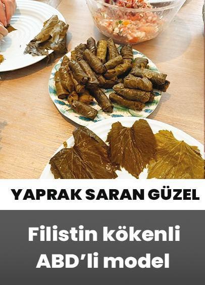 Yaprak saran güzel