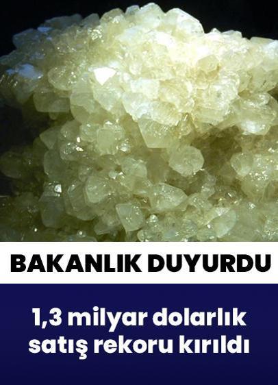 Yüzde 73'lük rezerv payıyla dünyada lider... Bakanlık duyurdu: 2024'te 1,3 milyar dolarlık satış rekoru kırıldı