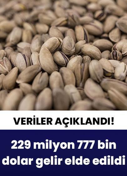 2024 yılın verileri açıklandı! Türkiye'den 229 milyon dolarlık fıstık ihraç edildi!