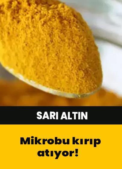 Mikrobu kırıp atıyor! Sarı altın zerdeçalın faydaları nelerdir?