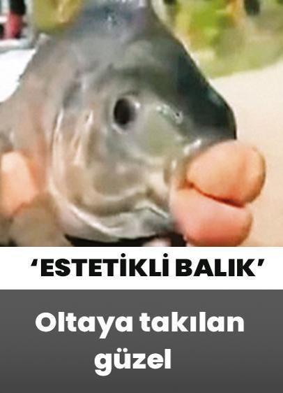 Oltaya ‘estetikli balık' takıldı!