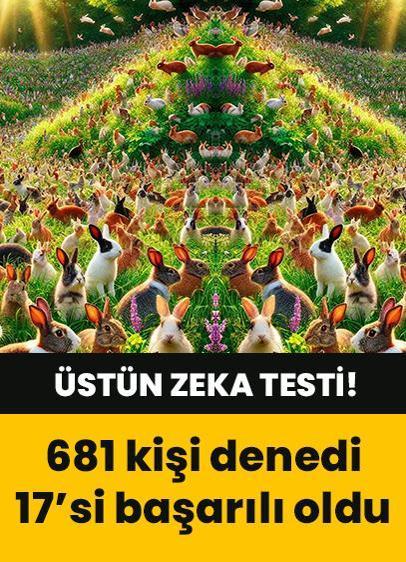 Zeka testi: Tavşanların içine saklanan havuç nerede? 681 kişi denedi 17'si bulabildi