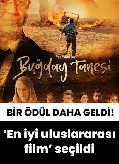 Buğday Tanesi "En İyi Uluslararası Film" seçildi!