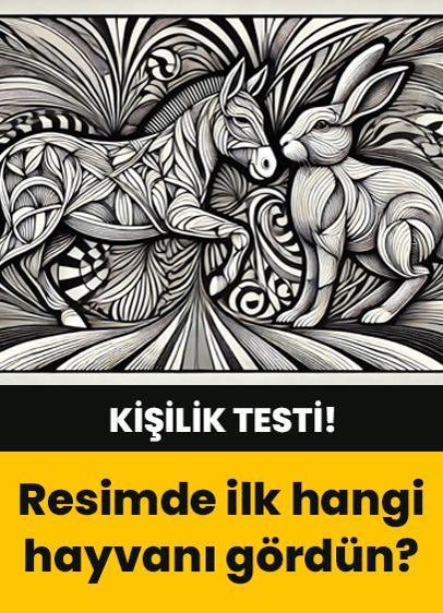 Kişilik testi: Resimde İlk hangi hayvanı gördün? At mı yoksa tavşan mı? Tavşan gördüysen…