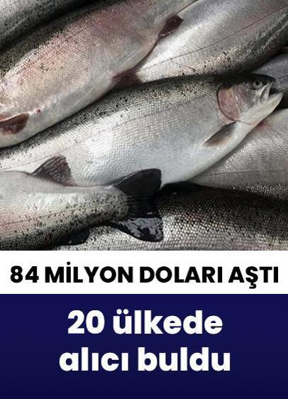 Türk somonu ihracatı 84,4 milyon doları aştı!