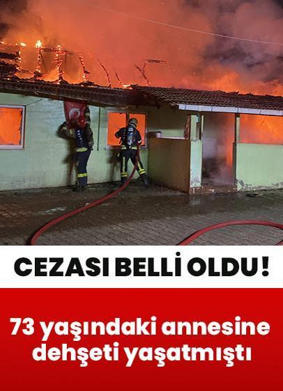 "Gelin alın, yoksa geberteceğim" 73 yaşındaki annesine dehşeti yaşatmıştı: Cezası belli oldu