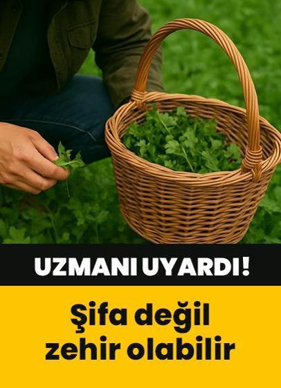 Uzmanı 'şifa değil zehir olabilir' sözleriyle uyardı! Her doğal olan faydalı değil...