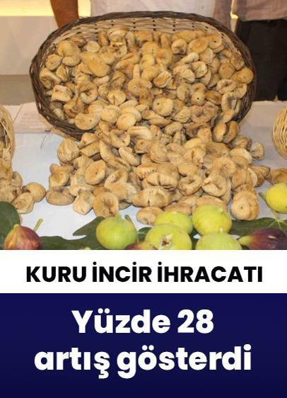 2024/25 sezonunda kuru incir ihracatı yüzde 28 arttı!