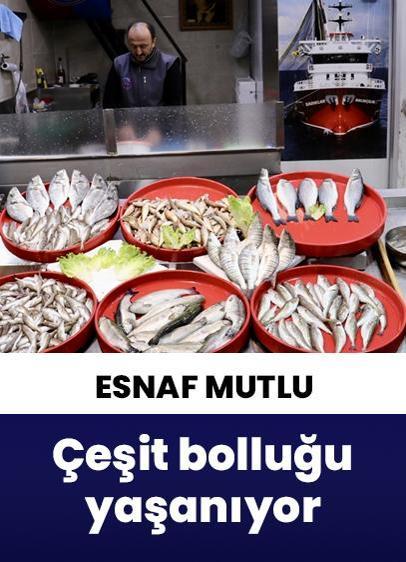 Trabzon'da çeşit bolluğu: En çok mezgit ve istavrit tercih ediliyor