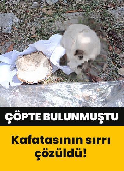 Çöpte bulunan insan kafatasının sırrı çözüldü! Gerçek çok başka çıktı