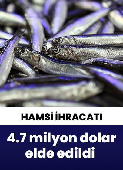 Türkiye, hamsi ihracatından yılın ilk çeyreğinde 4,7 milyon dolar elde etti!