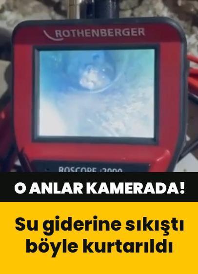 Su giderine sıkışan yavru kedi böyle kurtarıldı