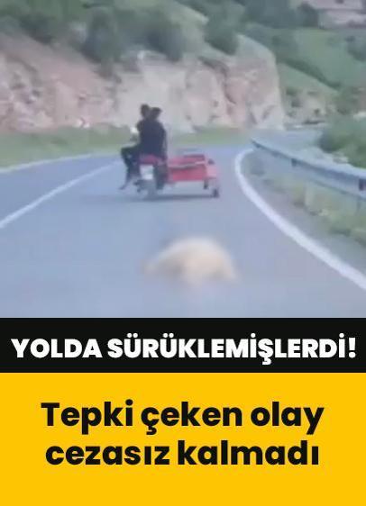 Telef olduğu iddia edilen köpeği motosikletle yolda sürüklemişlerdi! Cezasız kalmadı