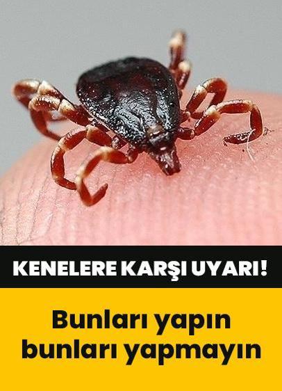 Valilikten kenelere karşı uyarı! Bunları yapın bunları yapmayın