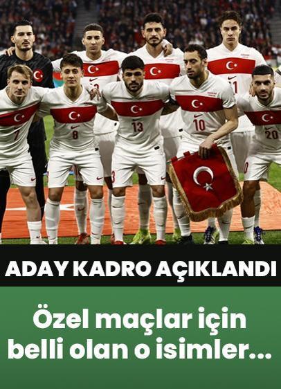 A Milli Futbol Takımı'nın aday kadrosu açıklandı