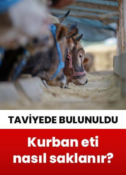 Kasaplar Odası, kurban etlerini saklama tavsiyelerinde bulundu!
