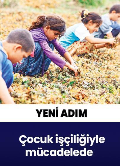 Çocuk işçiliğiyle mücadelede yeni adım