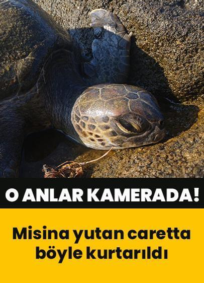 Misina yutan deniz kaplumbağası böyle kurtarıldı