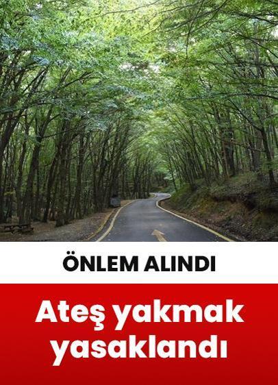 İstanbul'da orman yangınlarına karşı önlem amacıyla ateş yakmak yasaklandı!