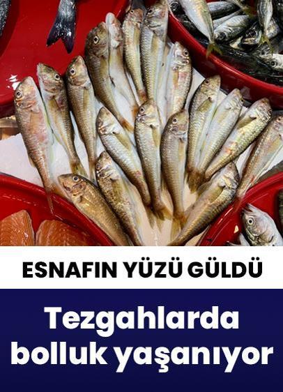 Balıkçı tezgahlarında yaşanan bolluk esnafı memnun etti!