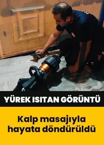 Kalbi duran yavru kediye kalp masajı! Yürek ısıtan o anlar böyle görüntülendi